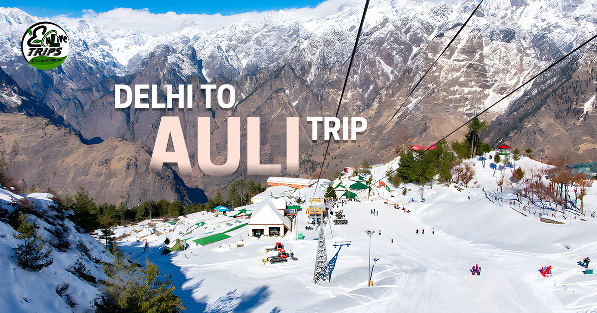 Auli Hill Station: Plan Your Auli Trip - Best Time to Visit in Auli, A Complete Travel Guide
